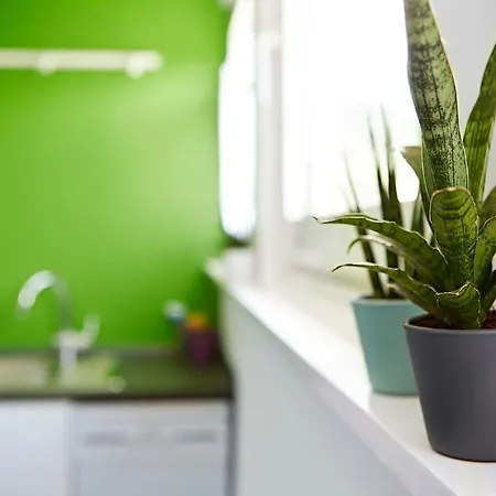 Ferienwohnung Pyramidenblick Im Sauerland 아파트 *